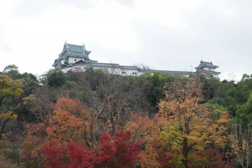和歌山城・紅葉