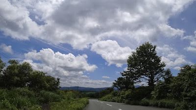 奥入瀬渓流で癒され、九戸城をお城巡り！