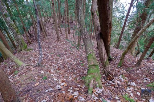 楽々前城 [2/2] かつては石垣造りだった？主郭部へ。