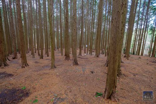 信貴山城 [3/4] 坂虎口や枡形を備えた厳重な松永屋敷跡へ。