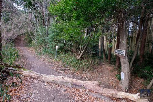 高安城(古代) : 奈良時代の巨大倉庫礎石群が残る古代山城跡。