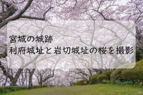 宮城の城跡　利府城址と岩切城址の桜撮影してきたよ！