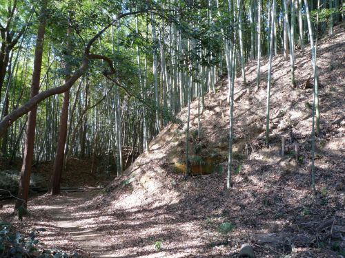 滝山城攻城！続日本100名城19城目　　　　   リアルぽちっと滝山城（城歩きイベント編） 其の一