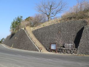 第323回：足柄城（足柄峠を押さえる境目の城）