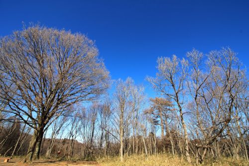 滝山城攻城！続日本100名城19城目　　　　     リアルぽちっと滝山城（城歩きイベント編）其の二・完