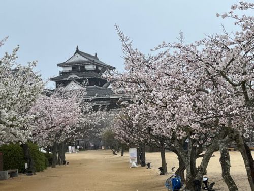 日本100名城　松山城