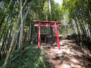 城山福寿稲荷（川崎市多摩区菅仙谷） - 小沢城址の登山道の途中にお祀りされている小祠