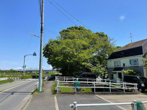 天満天神社（稲城市押立） - 多摩川近くの林の中に鎮座する神社