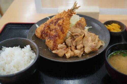 新潟・続１００名城めぐりＧＷ車旅（１）ー村上城